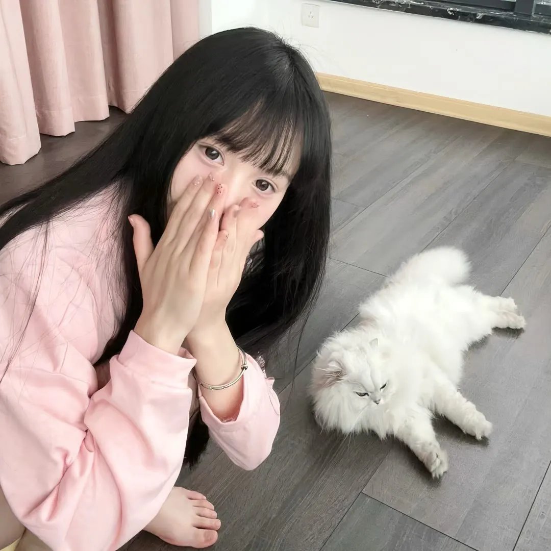 镜狮子